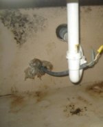 Black Mold Health Symptoms ..symptoms, Testing, Removal Information