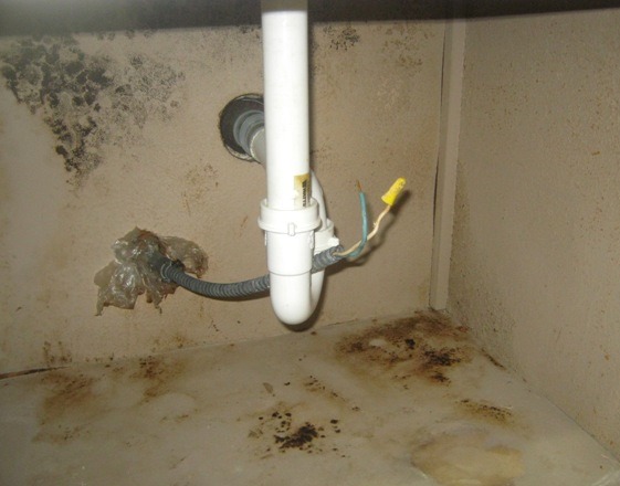 black mold behind kitchen sink