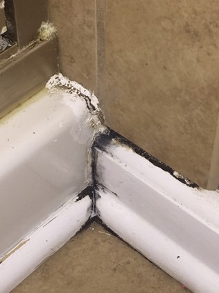 bathroom mold leak