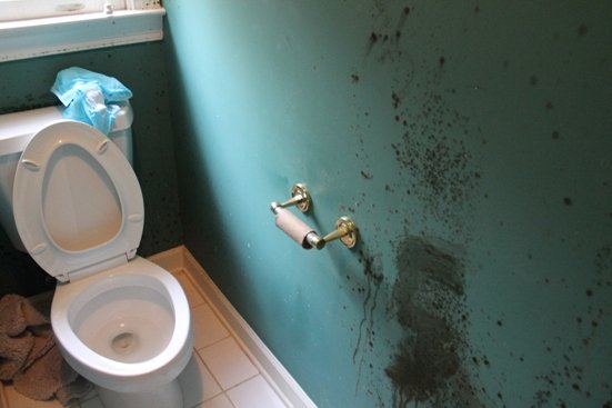 bathroom mold prevention